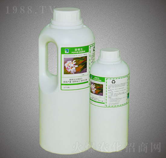 ��(f��)��΢����������Ĵ���(gu��)�����r(n��ng)��-�G�����