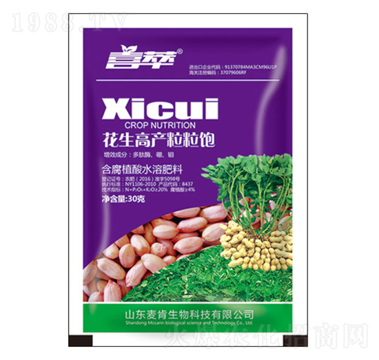 �����߮a�����-��������