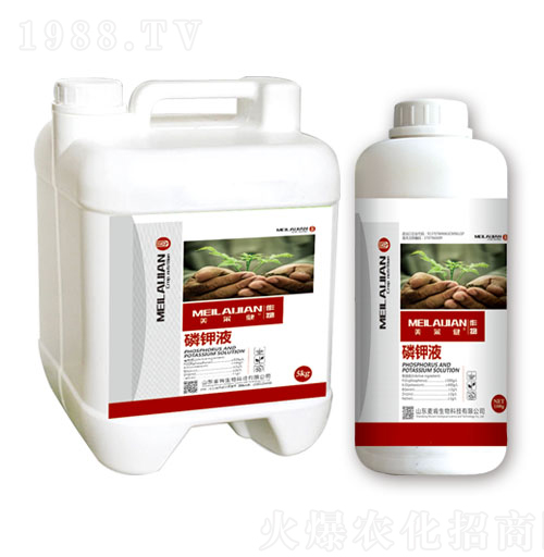 ���Һ-��������