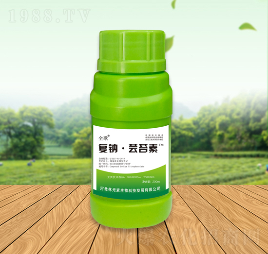 ȫ���(f��)�c���|̦��-��Ԫ��