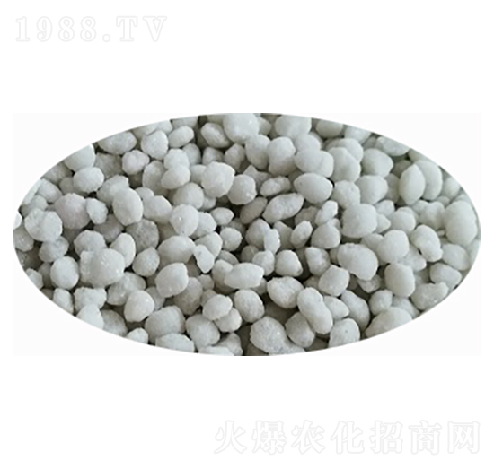 ���@����ɫ���{(l��n)ɫ��-���S�Ƽ�