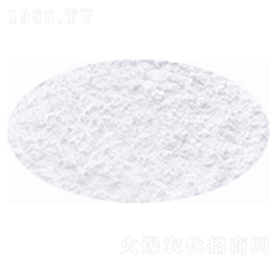 �����V�η�������-�۸�˼�_