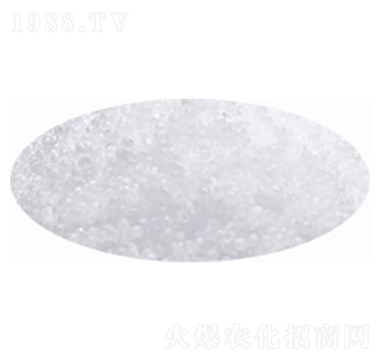 ���أ��w�����w����-�۸�˼�_