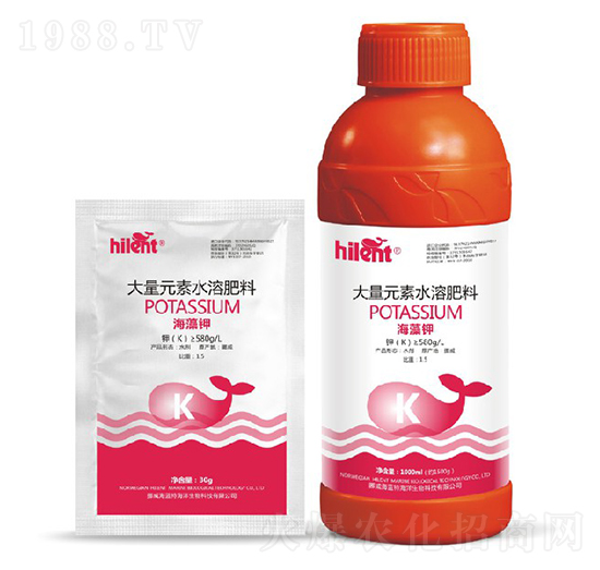 ����⛽M��-���{��