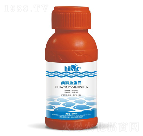 ø���~����-���{��