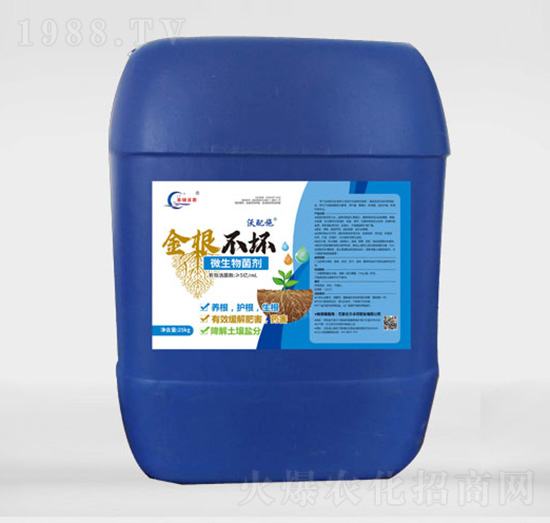 10�|΢�������-�������-�S�T���r(n��ng)