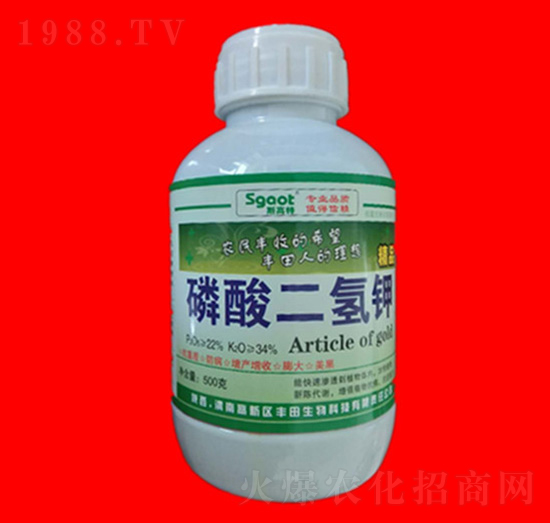 ��������-˹����-���R�ʘI(y��)