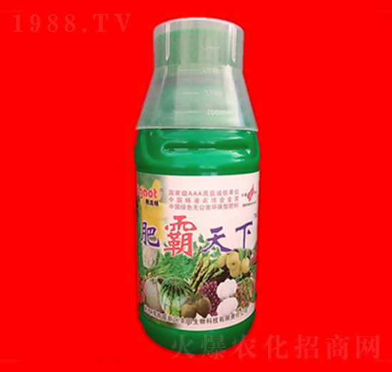 ˹���طʰ�����-���R�ʘI(y��)