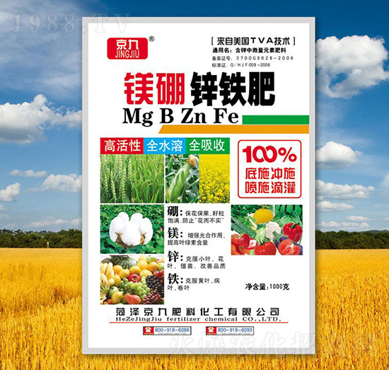 �V���\�F��-����