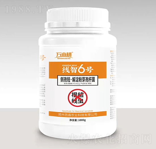 根結(jié)線(xiàn)蟲(chóng)克星-線(xiàn)智6號(hào)-湯姆生生物