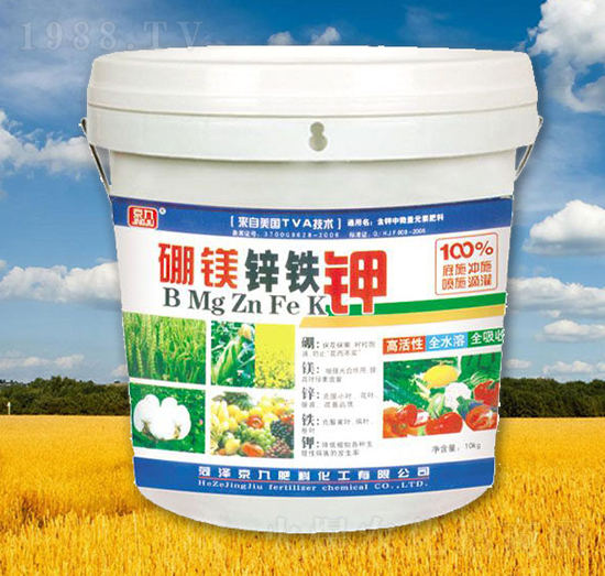 ���V�\�F�-����