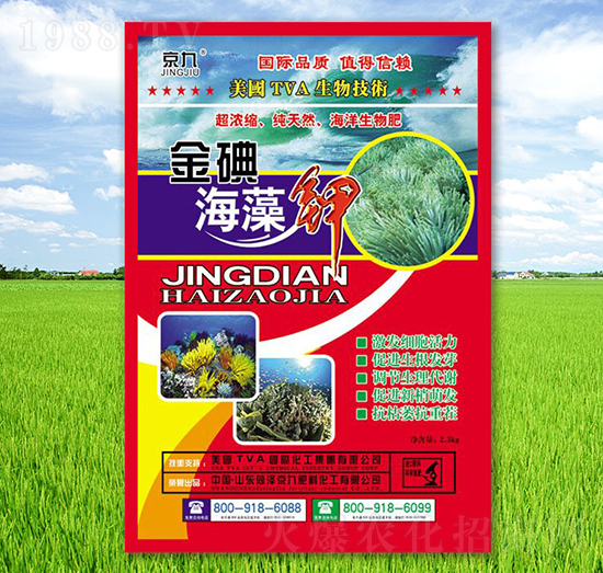 ��⺣���-����