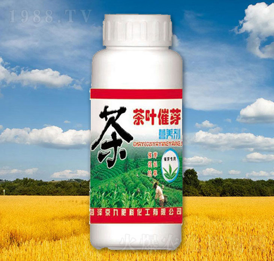 ���~��ѿ�I�B(y��ng)��-����