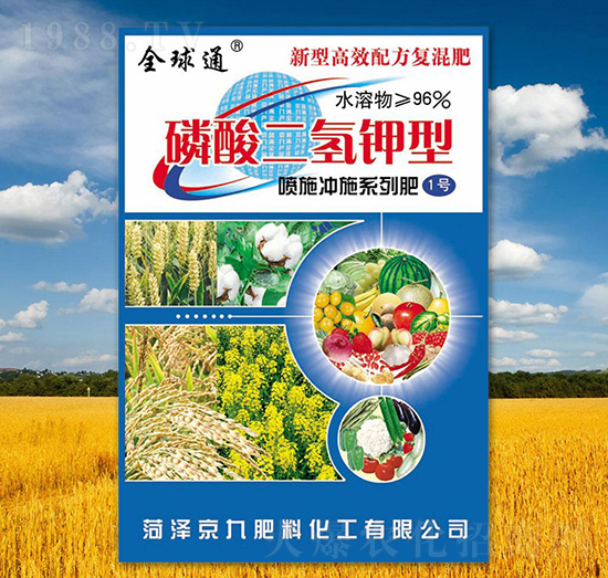 ��������-����