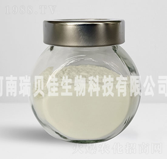 �����������-��ؐ������