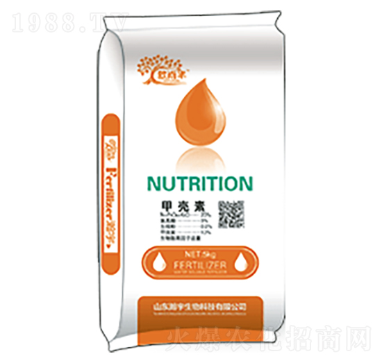 �ך���-�������