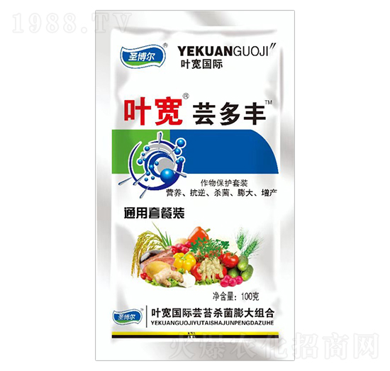 �~���|���S���ﱣ�o(h��)���b-ʥ��������