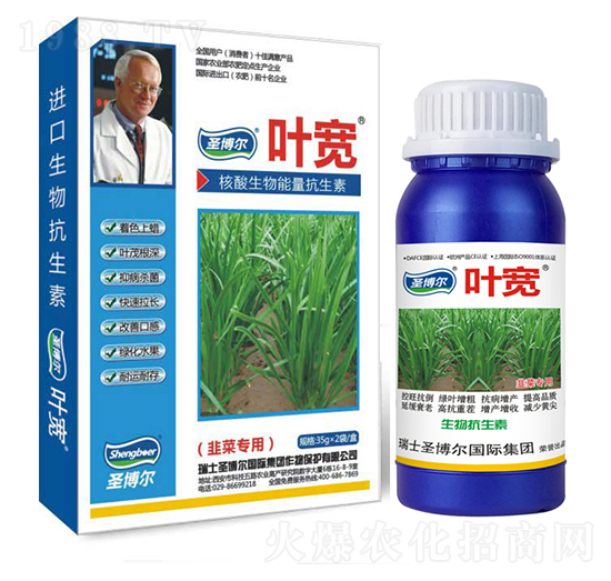 �²ˌ����~���-��������ø�T����-�~��-ʥ��������