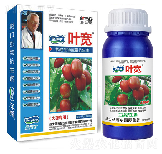 �󗗌����~���-��������ø�T����-�~��-ʥ��������