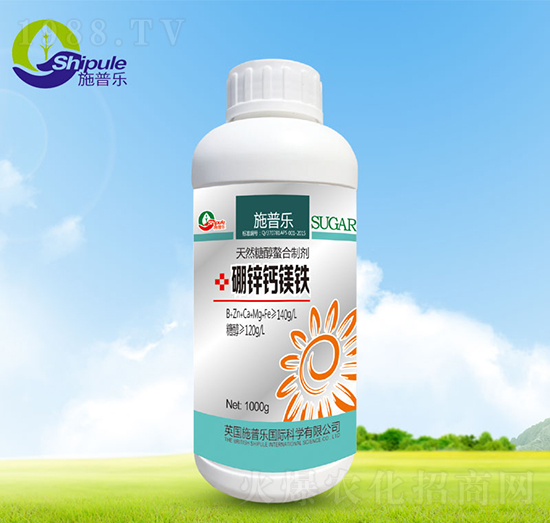 ���\�}�V�F-ʩ�՘�