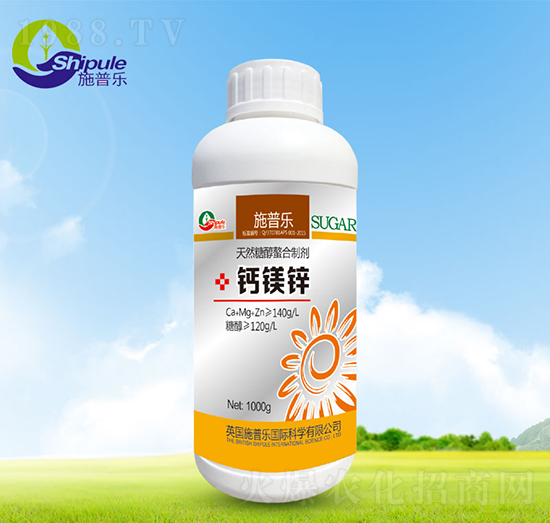 �}�V�F-ʩ�՘�