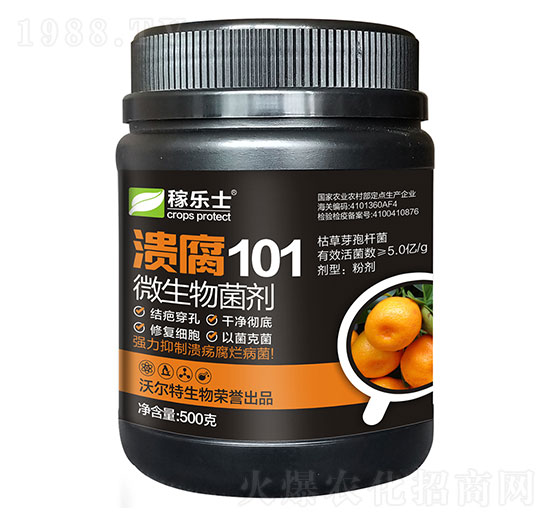 ΢�������-����101-�֠���