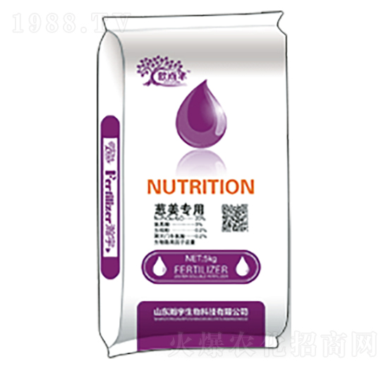 �[����(zhu��n)��-�������