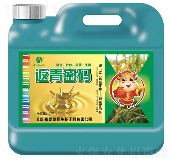 �����ܴa-�W�׵�˹