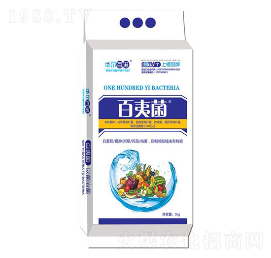 ����������{�턩-���ľ�-�A�����Z