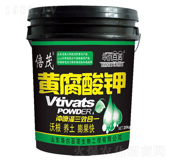 �S�����-�A�����Z