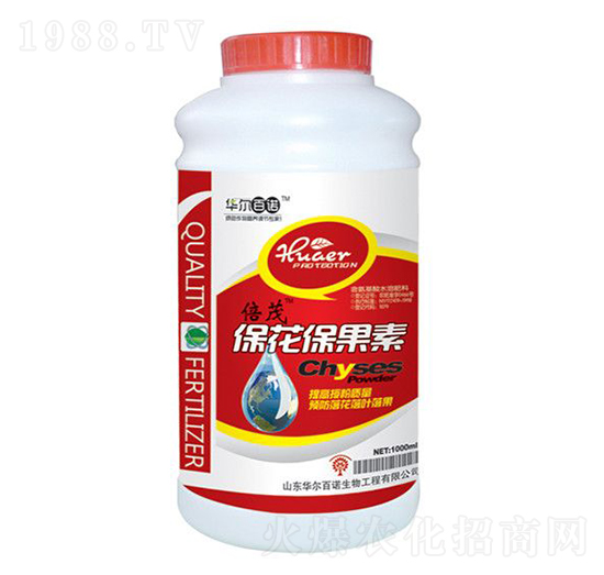 ����������-�A�����Z