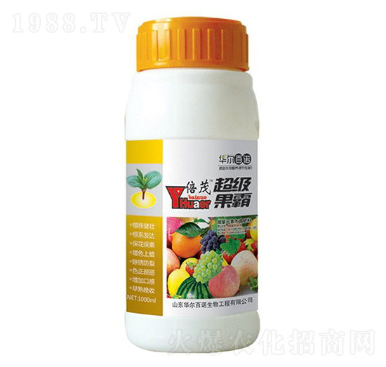 ����(j��)����-�A�����Z