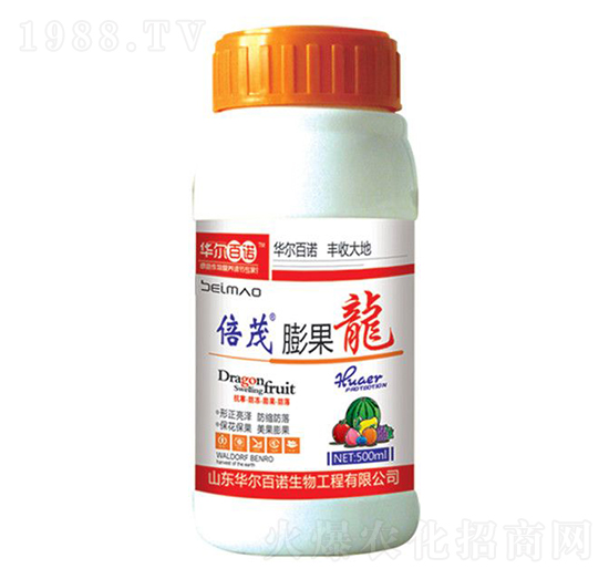 �����-�A�����Z