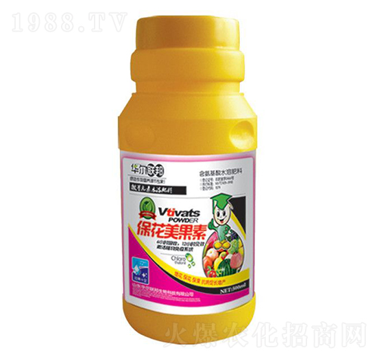 ����������-�A�����Z