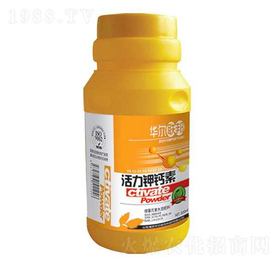 ������}��-�A�����Z