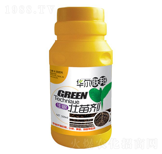 �������焩-�A�����Z