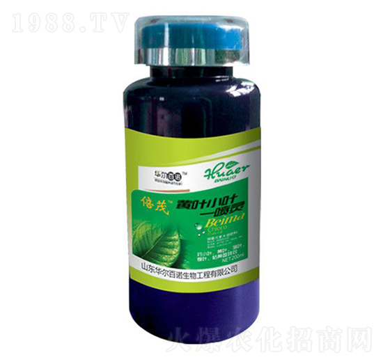 �S�~С�~һ���`-�A�����Z