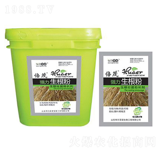 ��(qi��ng)��������-�A�����Z