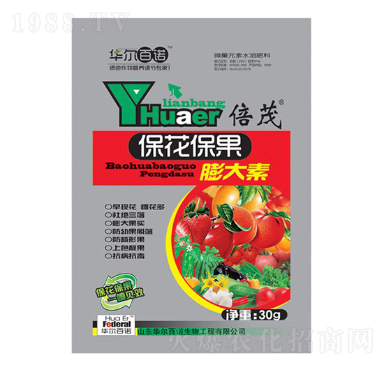 �������������-�A�����Z