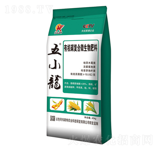 �ЙC(j��)̼΢�������-��С��-���r(n��ng)�I(y��)