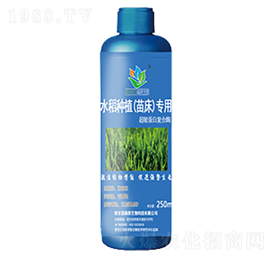 ˮ���Nֲ�紲����-ɭ�w����