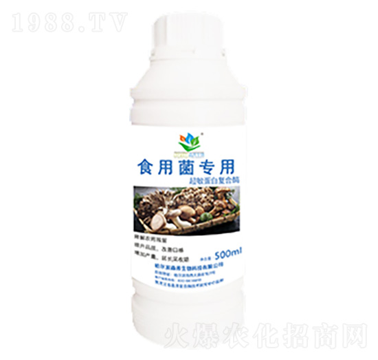 ʳ�þ�����-ɭ�w����