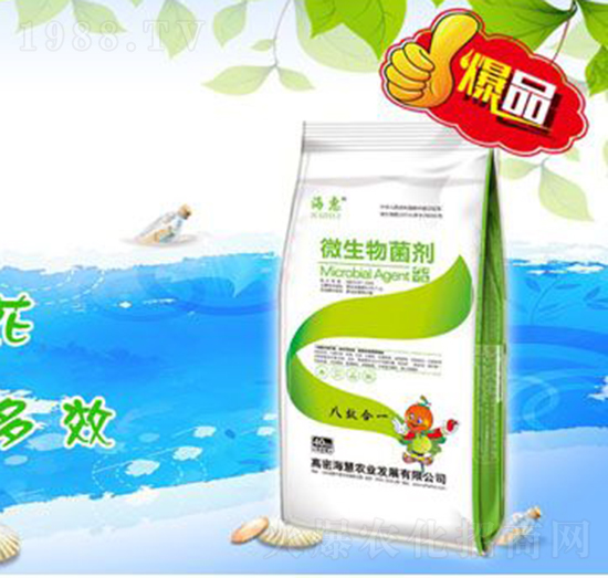 ΢�������-����