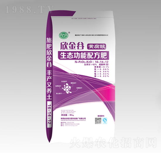 �S�������B(t��i)�����䷽�������16-14-12-�����-����䷽��