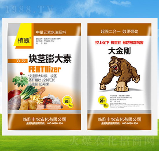 塊莖膨大素+大金剛-植翠-豐農農化