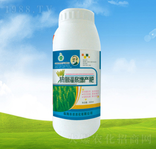 抗倒灌漿增產(chǎn)肥-植翠-豐農(nóng)農(nóng)化