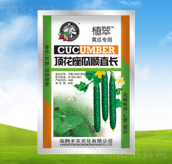 黃瓜專用頂花座瓜順直長-植翠-豐農(nóng)農(nóng)化
