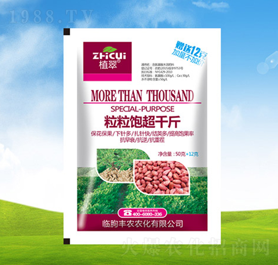 粒粒飽超千金-植翠-豐農(nóng)農(nóng)化