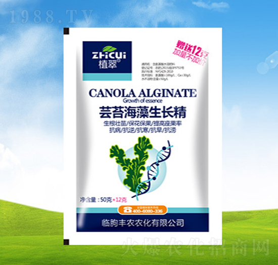蕓苔海藻生長精-植翠-豐農(nóng)農(nóng)化