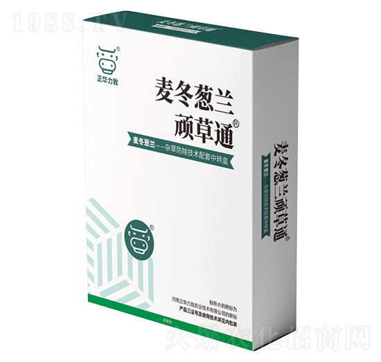 �����[�m�B��ͨ-���A����